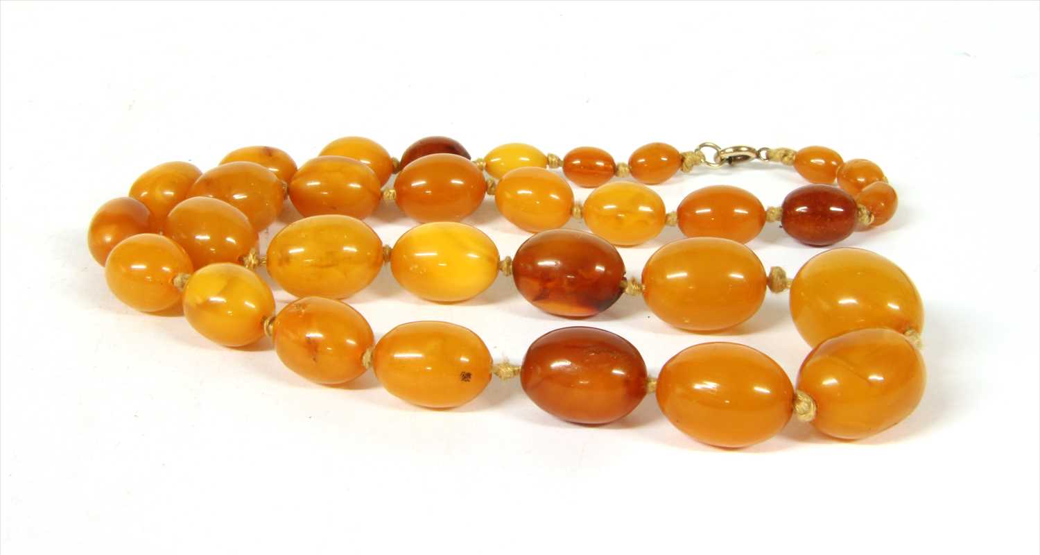 Lot 38 - A single row graduated oval butterscotch amber bead necklace