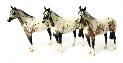 Lot 1341 - A collection of three Beswick Appaloosa horses