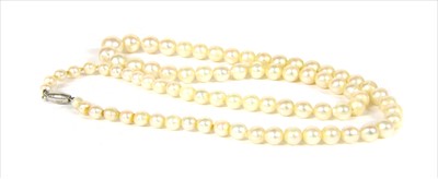Lot 102 - A single stone graduated cultured pearl necklace