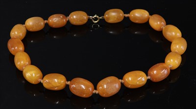 Lot 76 - A single row graduated olive shaped butterscotch amber bead necklace