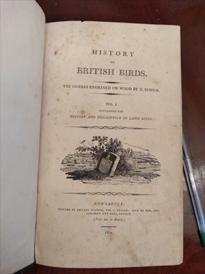 Lot 316 - Bewick's British Birds in two volumes