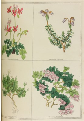 Lot 298 - Rennie, James & James Burnett (Editors): The Magazine of Botany and Gardening, British and Foreign.