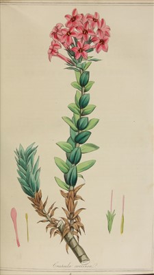 Lot 298 - Rennie, James & James Burnett (Editors): The Magazine of Botany and Gardening, British and Foreign.