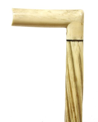 Lot 895 - A narwhal tusk walking stick