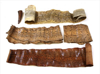 Lot 448 - Four large python skins