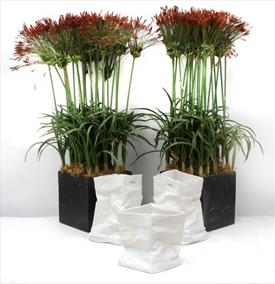 Lot 1238 - A pair of faux Papyrus grass in planters