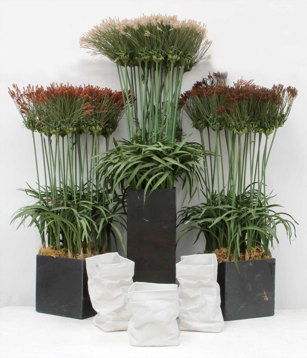 Lot 1239 - A pair of faux Papyrus grass in planters