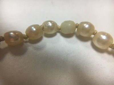 Lot 69 - A single row graduated cultured pearl necklace