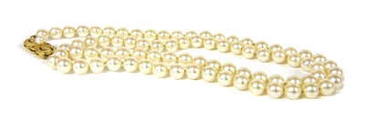 Lot 86 - A single row uniform cultured pearl necklace