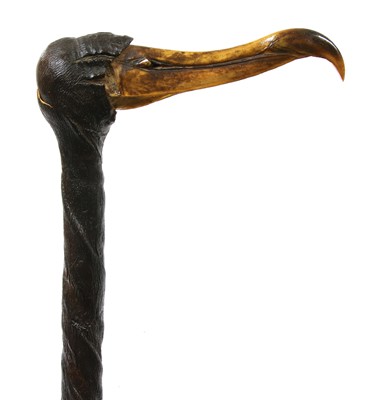 Lot 766 - A bull's pizzle walking stick with bird skull handle