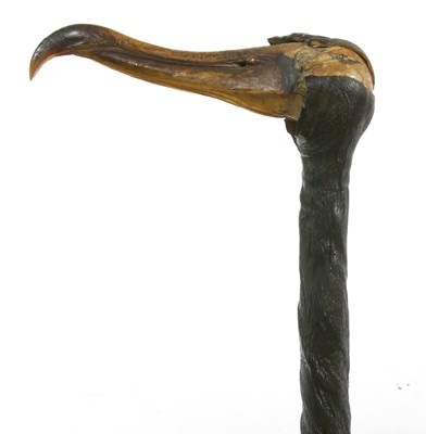 Lot 766 - A bull's pizzle walking stick with bird skull handle