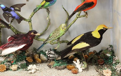 Lot 244 - A taxidermy diorama