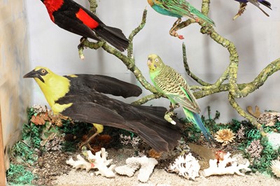 Lot 244 - A taxidermy diorama