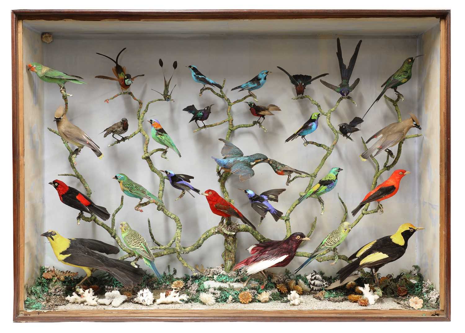 Lot 244 - A taxidermy diorama