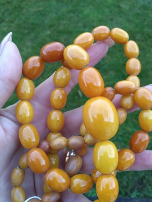Lot 112 - A single row graduated oval butterscotch amber bead necklace