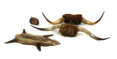 Lot 209 - TAXIDERMY: Two mounted stag heads
