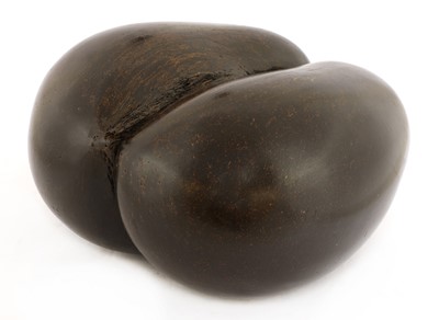 Lot 306 - A sea coconut or coco de mer (Lodicea maldivica)
