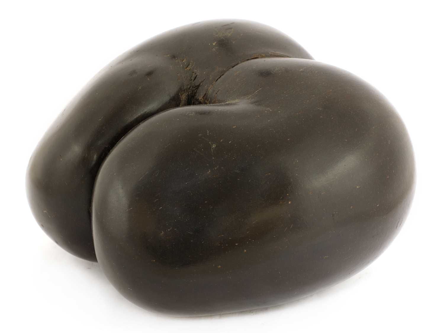 Lot 306 - A sea coconut or coco de mer (Lodicea maldivica)
