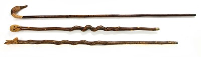 Lot 762 - Three modern hazel walking sticks