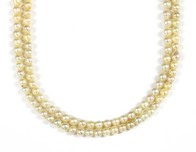 Lot 423 - A two row graduated cultured freshwater pearl necklace
