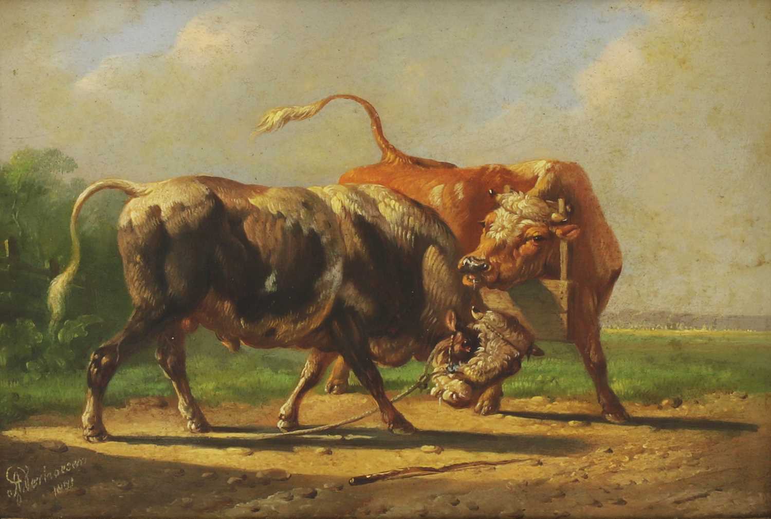 two bulls fighting drawing