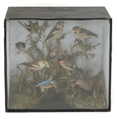 Lot 327 - A diorama of ten stuffed and mounted countryside birds