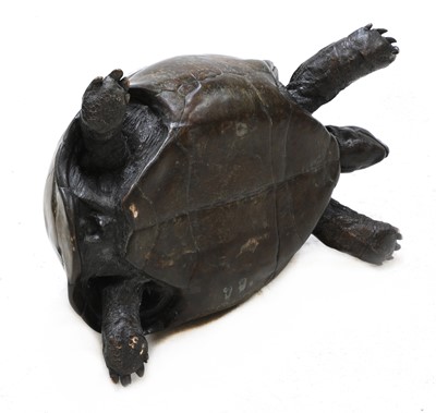 Lot 747 - A life-size bronze of a tortoise