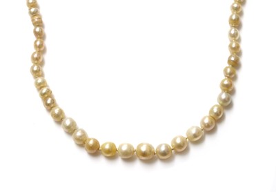 Lot 144 - A single row graduated pearl necklace