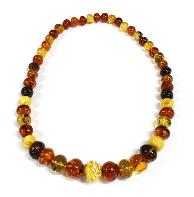 Lot 250 - A continuous single row graduated amber bead necklace