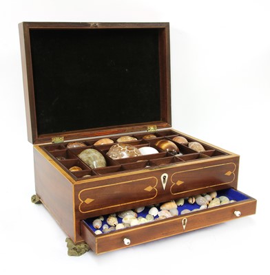 Lot 338 - A George III and later mahogany and strung box