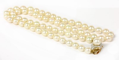 Lot 250 - A single row uniform cultured pearl necklace