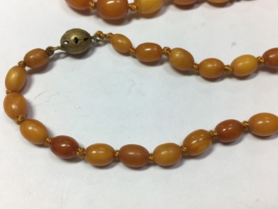 Lot 81 - A single row graduated olive shaped butterscotch amber bead necklace
