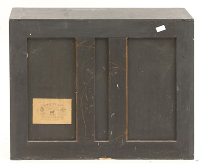 Lot 204 - Taxidermy: a cased Northern gannet (Sula bassana)