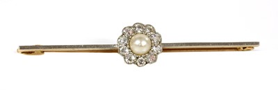Lot 125 - A pearl diamond daisy cluster bar brooch, c.1920