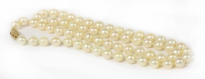 Lot 320 - A single row uniform cultured pearl necklace