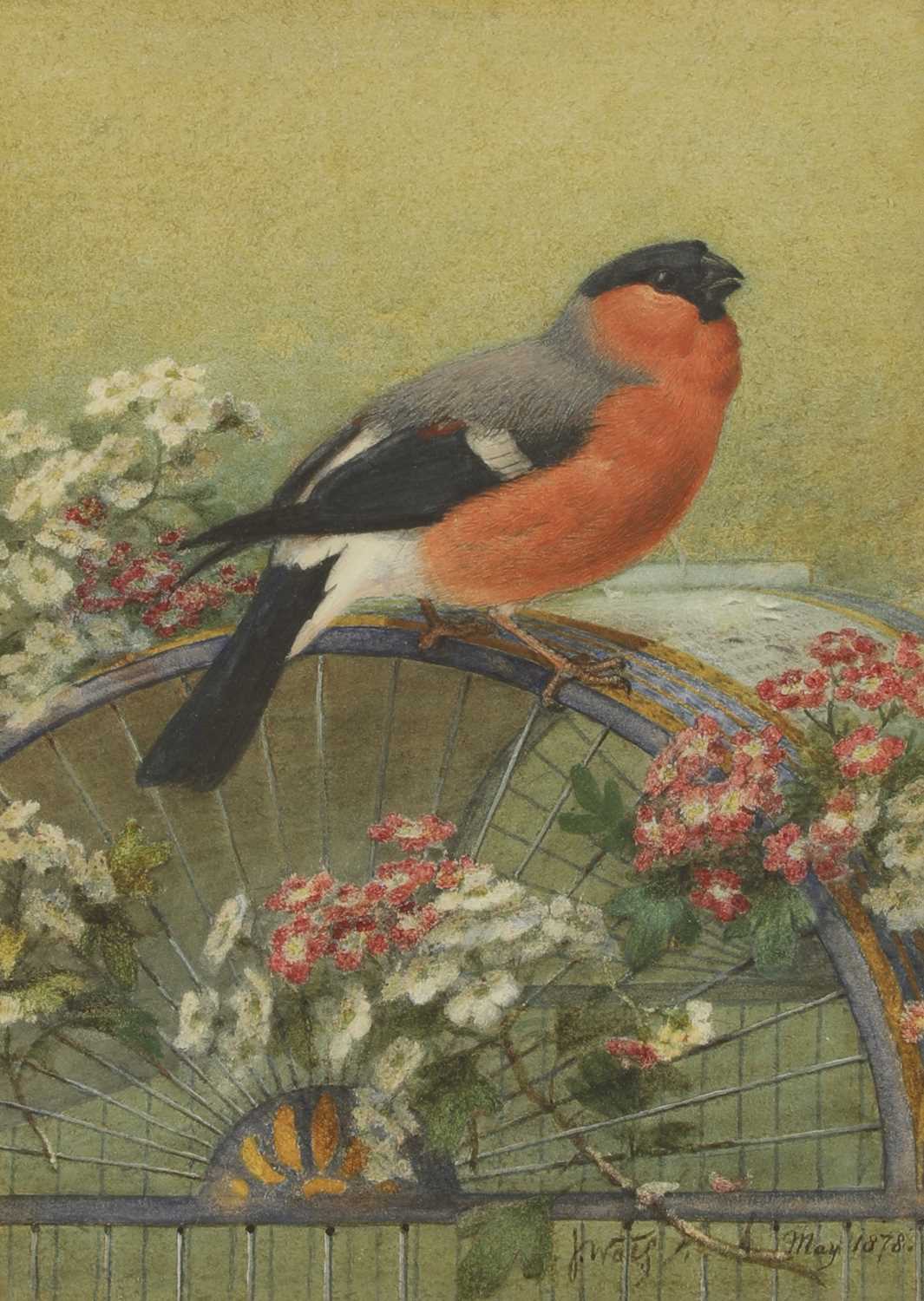 Lot 174 - Joseph Wolf (German, 1820-1899)