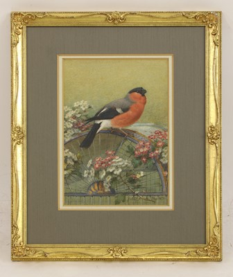 Lot 174 - Joseph Wolf (German, 1820-1899)