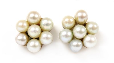 Lot 327 - A pair of gold cultured pearl cluster earrings