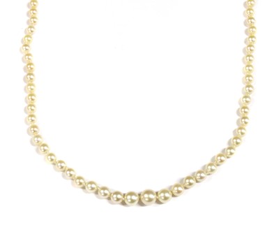 Lot 321 - A single row graduated cultured pearl necklace, by Mikimoto