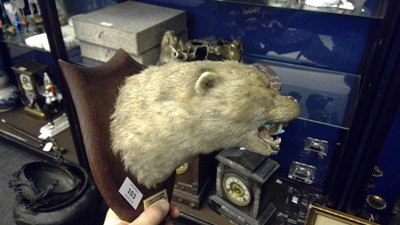 Lot 103 - Taxidermy: an otter's head