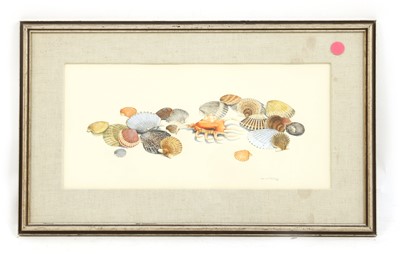 Lot 304 - Ian MacLaury (British, 20th Century), Shells
