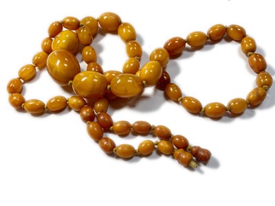 Lot 41 - A single row graduated olive-shaped butterscotch amber bead necklace