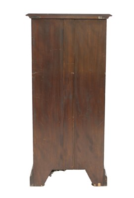 Lot 328 - A mahogany collector's cabinet