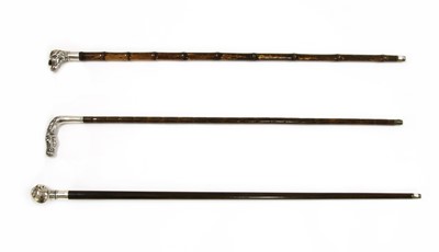 Lot 496 - A silver handled walking stick