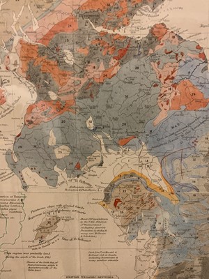 Lot 905 - 'Palaeontological map of the British Islands'