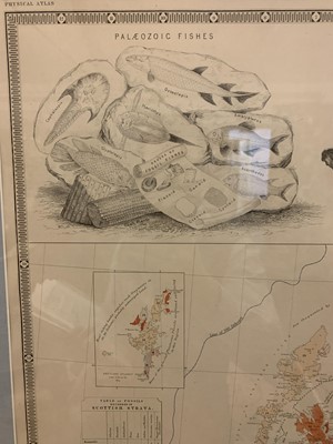 Lot 905 - 'Palaeontological map of the British Islands'