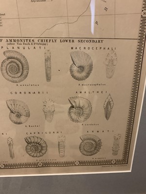 Lot 905 - 'Palaeontological map of the British Islands'