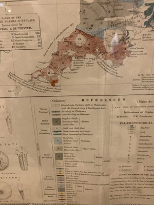 Lot 905 - 'Palaeontological map of the British Islands'