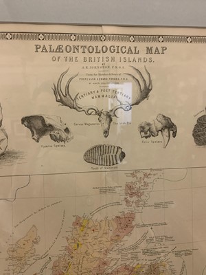 Lot 905 - 'Palaeontological map of the British Islands'
