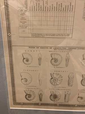 Lot 905 - 'Palaeontological map of the British Islands'